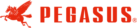 Pegasus