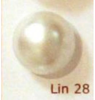 Gumb polperla | 28