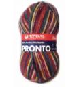 Pronto Color | 100g (118m)