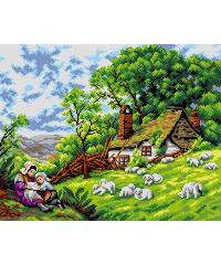 ORCHIDEA Maja | William Coleman | 40x50cm 2781M