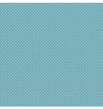 Poplin s pikicami | 100%CO