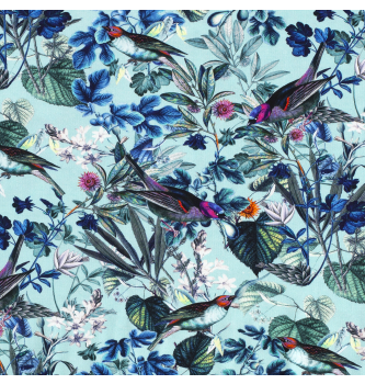 Jersey Ptice | meta | 95%CO / 5%EL