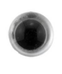 CSE Plastično oko | 12 561170.012