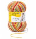 Regia color | 6 niti | 150g (375m)