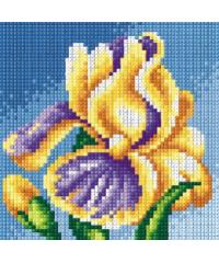 ORCHIDEA Gobelin Cvet irisa | 15x15cm 2442D