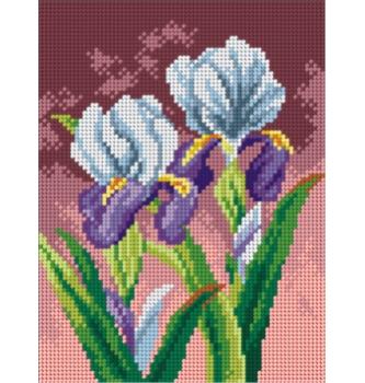 Gobelin Iris | 18x24cm
